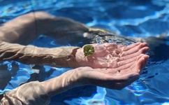 在办公室少妇做爰